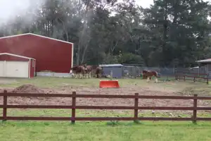 2025-08-09 NSW Rail Museum - IMG_4151_compressed_q80.webp